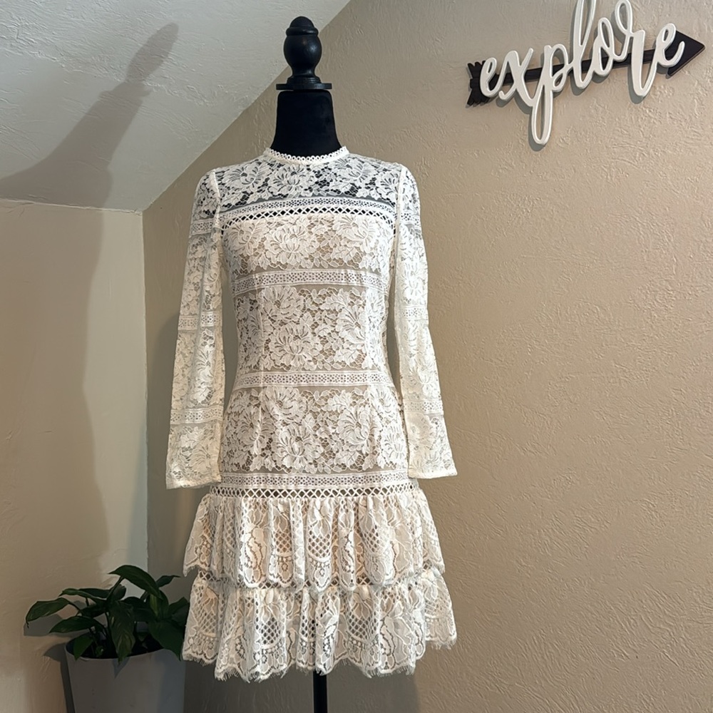 Aijek Melanie Fit-and-Flare Mini Dress in Lace